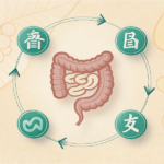 腸のシルエットと“気・血・水”の関係を示すシンプルな図解