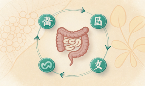腸のシルエットと“気・血・水”の関係を示すシンプルな図解
