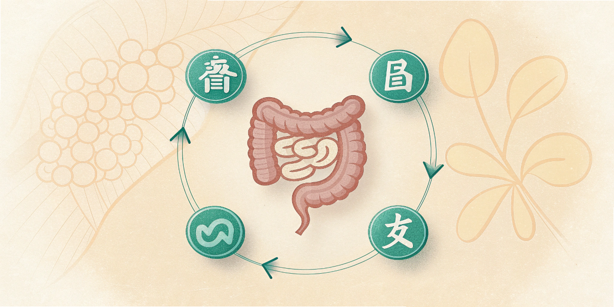 腸のシルエットと“気・血・水”の関係を示すシンプルな図解