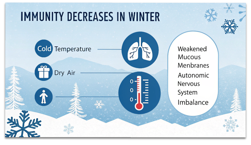 冬に免疫力が下がる理由を説明した図解。気温低下・乾燥・自律神経の乱れが風邪を引きやすくする要因をまとめたイラスト。