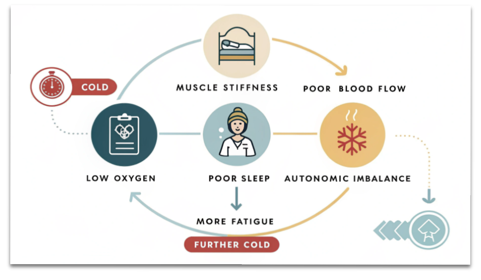 冬はなぜ疲れが抜けない?筋肉のこわばり・睡眠質・自律神経の正しいケア方法 10 冬の疲れが抜けにくくなる原因(寒さ→筋肉のこわばり→血流低下→睡眠の質低下→自律神経の乱れ)の悪循環を示したシンプルな図解。
