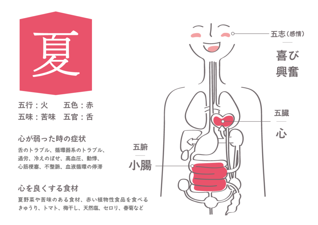 東洋医学の五臓（肝・心・脾・肺・腎）と「心」を示す図解
