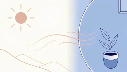 夏の不調は寒暖差が原因？八王子で整体・吸玉によるセルフケアのイラスト